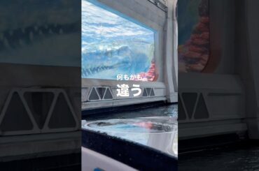 ユニバーサルスタジオハリウッドを正直レビュー！