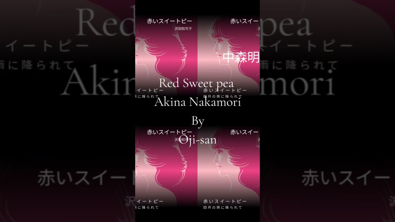 中森明菜さんが歌われた松田聖子さんの【赤いスイートピー】を再現して#歌ってみた #おじさん #中森明菜 #カラオケ By Mel 🥰🎤♬*° 中森明菜さんが歌われた松田聖子さんの【赤いスイートピー】を再現して#歌ってみた #おじさん #中森明菜 #カラオケ By Mel 🥰🎤♬*°