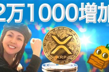 XRP 底打ちの兆しか チャートの形は悪くない トランプコイン年末まで上昇か