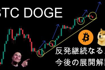 Bitcoin、Dogecoin今後の展開解説。暗号資産（仮想通貨）【BTC、DOGE】
