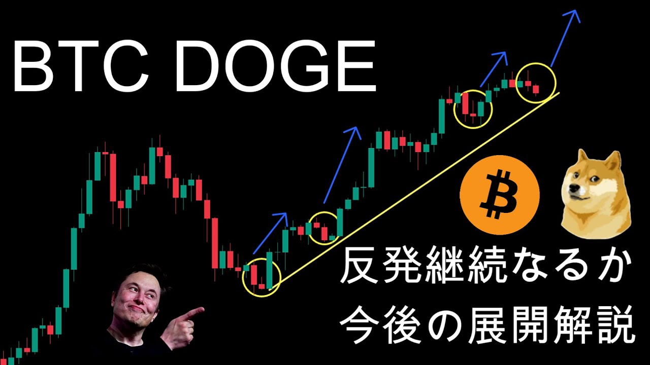 Bitcoin、Dogecoin今後の展開解説。暗号資産(仮想通貨)【BTC、DOGE】 Bitcoin、Dogecoin今後の展開解説。暗号資産(仮想通貨)【BTC、DOGE】