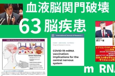 COVID 19注射の有害事象が重篤な脳脊髄の63疾患と関連していることが判明 血液脳関門破壊