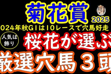 菊花賞2025人気は飾り！桜花が選ぶ厳選穴馬３頭！エネルジコやエリキングやショウヘイが人気を集める中で人気の盲点になっている馬は？スタミナ比べになると浮上しそうな馬など３頭ピックアップ！