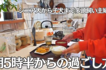 【50代主婦の暮らし】 5時半起きの過ごし方 / 無理せず、今を楽しむ暮らし / 犬のいる暮らし / 主婦vlog