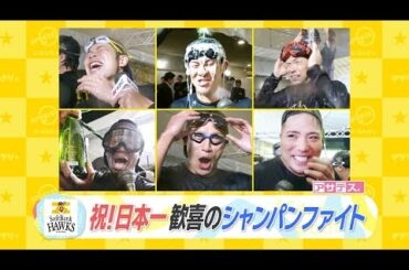 祝！日本一！！歓喜のシャンパンファイト！！！！【スポーツキラリ★】