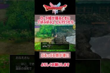 【ドラクエ1】ローラ姫と一緒に『ぱふぱふ』しに行ったらどうなるか検証してみたよ #ドラクエ #ドラクエ1 #ドラクエ12リメイク #ドラゴンクエスト12リメイク