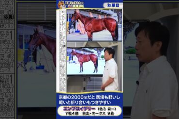 【2025年 秋華賞】桜花賞馬エンブロイダリーの馬体診断　 #shorts #競馬 #予想
