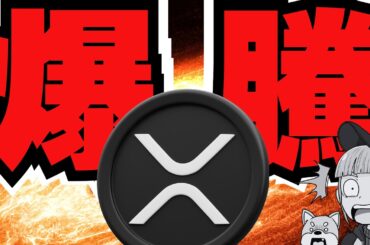 【緊急】XRP10％上昇！米国政府閉鎖でリップルETFがついに承認か／年末サンタラリーで仮想通貨の時代来るか／ビットコインETF承認から学ぶXRP ETFの予測