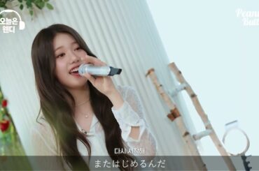 BABYMONSTER 로라 '시작（Start Over）' - 가호 cover 和訳