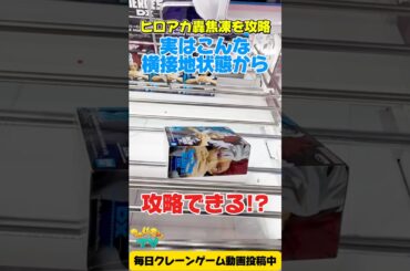 【クレーンゲーム】実はこんな横接地状態からも攻略できる！僕のヒーローアカデミア轟焦凍を攻略！#shorts