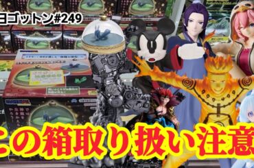 【初日ゴットン#249】この箱は取り扱い注意！クレーンゲーム攻略【#マンガ倉庫月隈店】