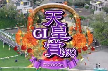 東京11R 第172回天皇賞・秋（GⅠ）