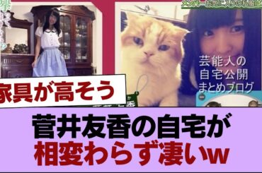 【櫻坂46】菅井友香の自宅が相変わらず凄いw #櫻坂46 #櫻坂46の家