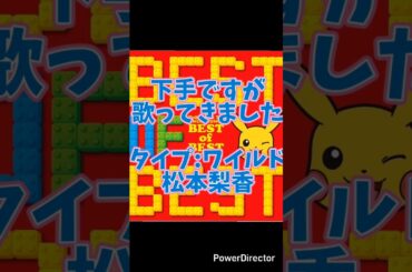 ［下手なりに歌ってきた］タイプ:ワイルド　松本梨香