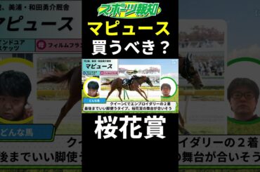 【桜花賞2025】マピュースは買うべき？能力比較は？不安要素も徹底解説