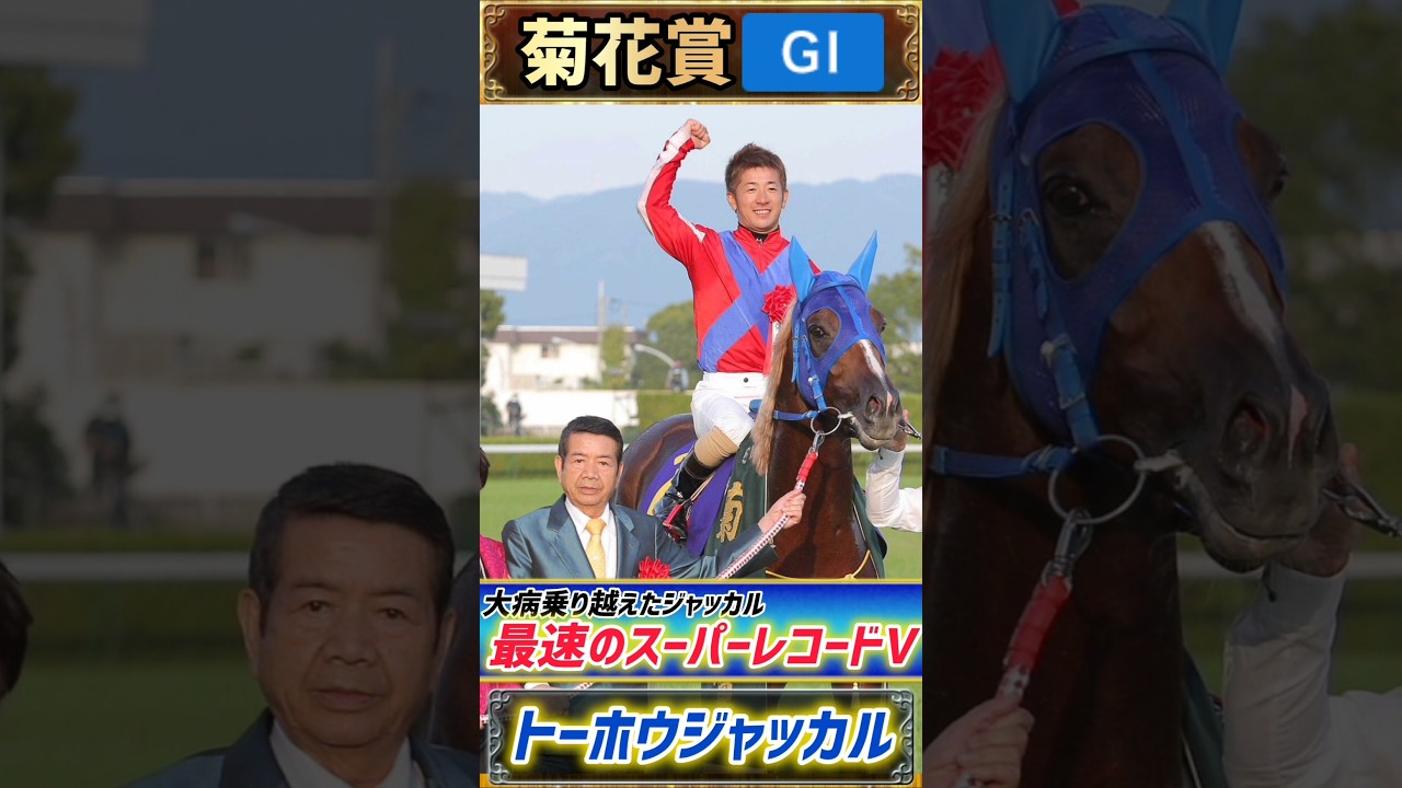 【過去の菊花賞プレイバック】大病乗り越えたジャッカル最速の菊花賞V【菊花賞2014】#競馬 #競馬予想 #菊花賞 #short #shorts #JRA 【過去の菊花賞プレイバック】大病乗り越えたジャッカル最速の菊花賞V【菊花賞2014】#競馬 #競馬予想 #菊花賞 #short #shorts #JRA