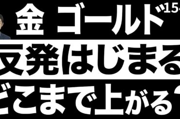 金価格の調整は絶好の買い場！2026年の$5,000ドル到達を見据えた具体的投資戦略【金】【10月30日】
