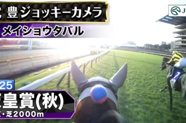 【ジョッキーカメラ】メイショウタバル騎乗の武豊騎手ジョッキーカメラ映像｜2025年天皇賞（秋）｜JRA公式