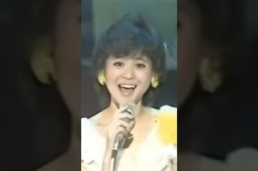 松田聖子 野ばらのエチュード 1982年12月