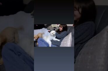 与田祐希　2025/11/13