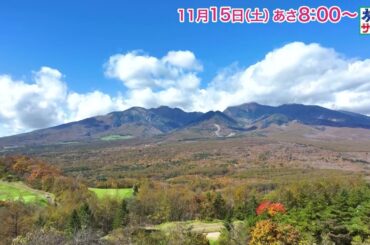 ロコレコは大友花恋！ゲストの旅は朝比奈彩！「旅サラダ」11月15日（土）放送