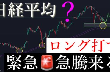 🚨昨日に続き！緊急買い場きてます！日経平均株価/Ni225