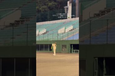 白石麻衣　2025/11/14