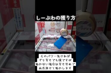 #クレーンゲーム #攻略 #末広がり #ちいかわ #しーぷわ  TikTok