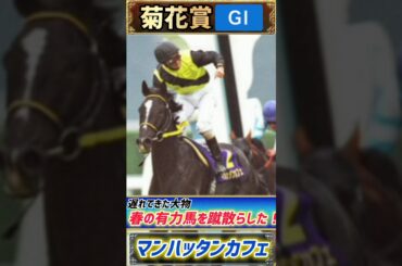 【過去の菊花賞プレイバック】遅れてきた大物！ダービ馬も春の有力馬を蹴散らした！【菊花賞2001】#競馬 #競馬予想 #菊花賞  #short #shorts #JRA