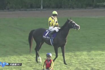 2025年天皇賞(秋)　マスカレードボール