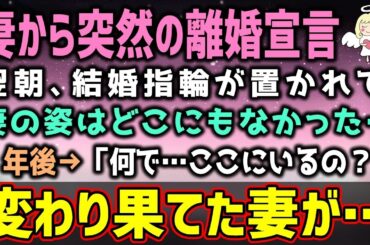 【感動する話】妻から突然の離婚宣言。別れて１年後→妻「何で…ここにいるの？」そこには変わり果てた妻の姿が…（泣ける話）感動ストーリー【朗読・いい話】総集編