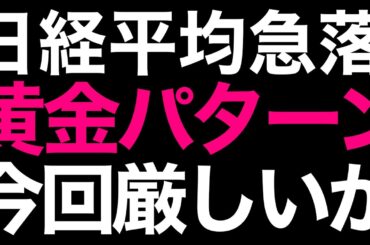 🌟2025/11/14 速報🌟【日経平均】反落📉黄金のワンパターン崩壊？⚡日経平均の行方💹