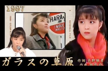 菊池桃子 ガラスの草原   ドラマ「恋はハイホー！」エンディングテーマ 1987年