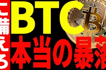 ⚠️ビットコインの本当の暴落はこれから！？⚠️今後の注目ポイント全て教えます！【仮想通貨】