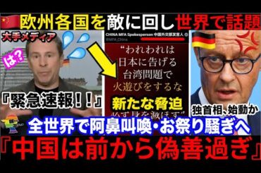 【速報】🇨🇳中国が欧州各国を敵視→🇯🇵日本への新たな投稿もあり、更に多くの国々が参戦か...