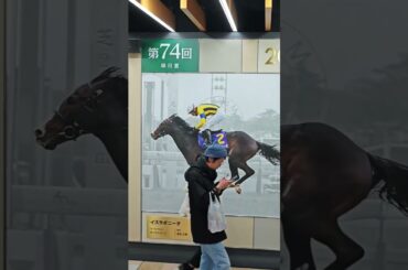 【中山競馬場の春といえば皐月賞！】#中山競馬場#競馬場#競馬#皐月賞 #有馬記念 #武豊#ディープインパクト #ギャンブル