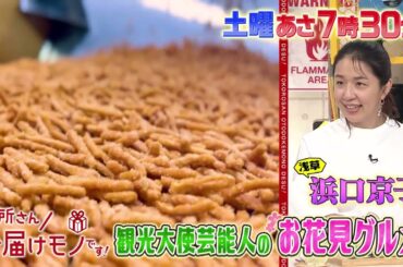 『所さんお届けモノです!』観光大使芸能人の“お花見グルメ” 3/15(土)【TBS】