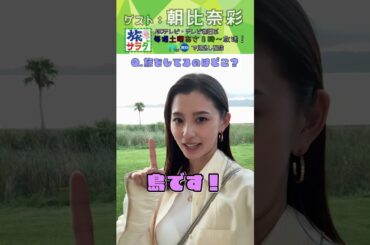【旅サラダ】11月15日ゲスト・ #朝比奈彩 さん から問題！ #旅サラダ #shorts