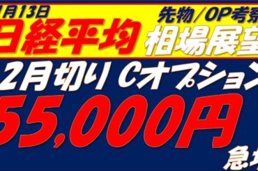 日経平均相場展望251113～   火曜日の高値を更新する可能性80％!!
