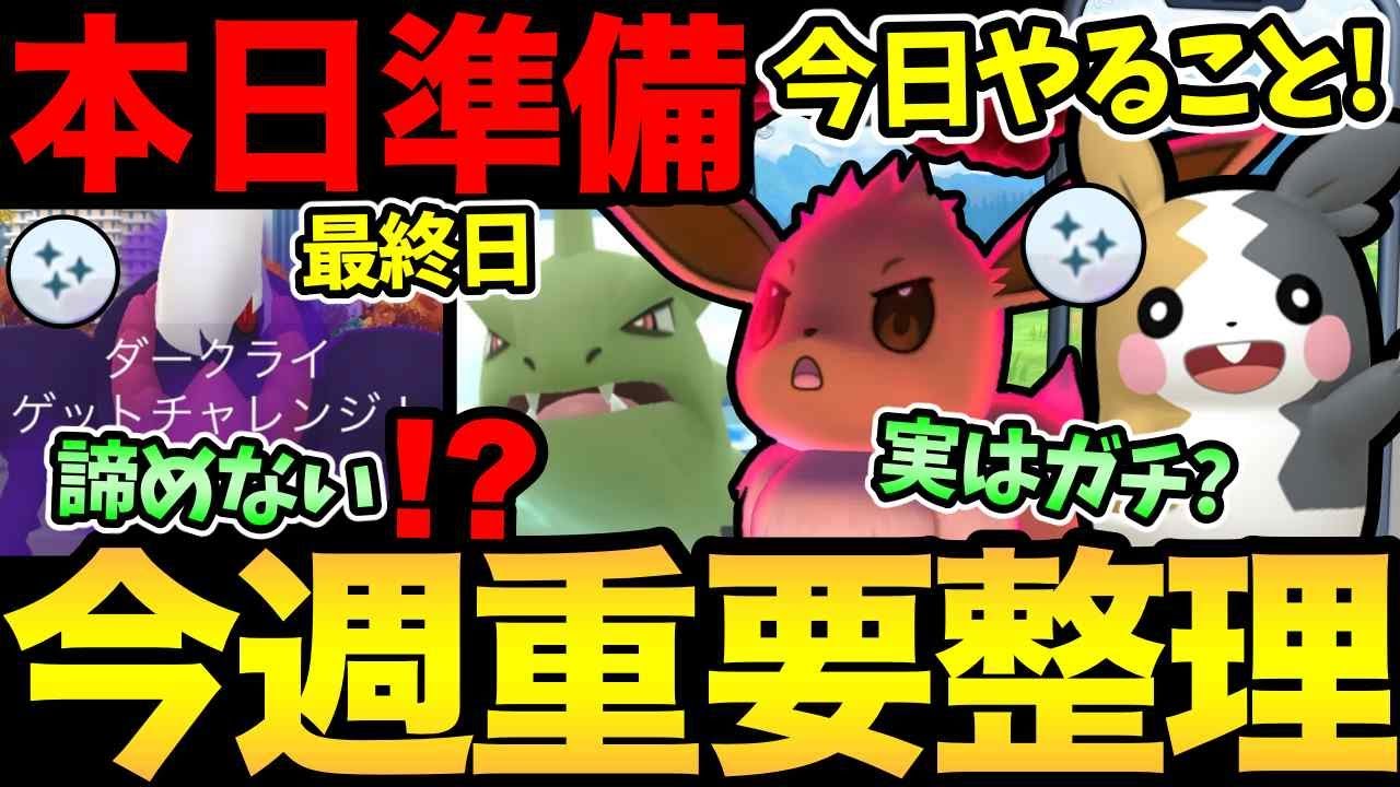 え、まさかのお休み?さらにサイレント修正?今日やる準備とラストチャンス!ダイマックスイーブイも楽しみ!【 ポケモンGO 】【 GOバトルリーグ 】【 GBL 】【 】 え、まさかのお休み?さらにサイレント修正?今日やる準備とラストチャンス!ダイマックスイーブイも楽しみ!【 ポケモンGO 】【 GOバトルリーグ 】【 GBL 】【 】
