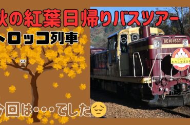 読売バスツアー体験記｜わたらせ渓谷トロッコ×日帰りバス旅｜