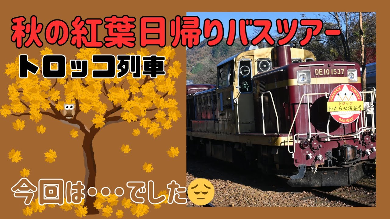 読売バスツアー体験記|わたらせ渓谷トロッコ×日帰りバス旅| 読売バスツアー体験記|わたらせ渓谷トロッコ×日帰りバス旅|