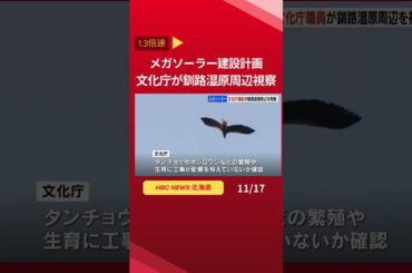 メガソーラー建設計画　文化庁が釧路湿原周辺視察　＃Shorts #北海道 #ニュース