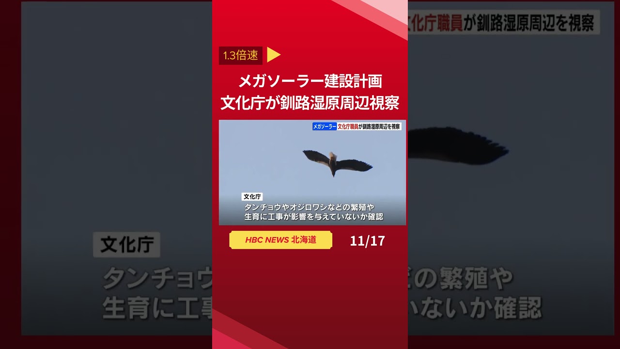 メガソーラー建設計画 文化庁が釧路湿原周辺視察 #Shorts #北海道 #ニュース メガソーラー建設計画 文化庁が釧路湿原周辺視察 #Shorts #北海道 #ニュース