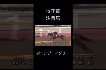 競馬　桜花賞注目馬　エンブロイダリー　　　　　　　　　　　　　　　　#競馬 #jra #桜花賞 #エンブロイダリー #注目馬