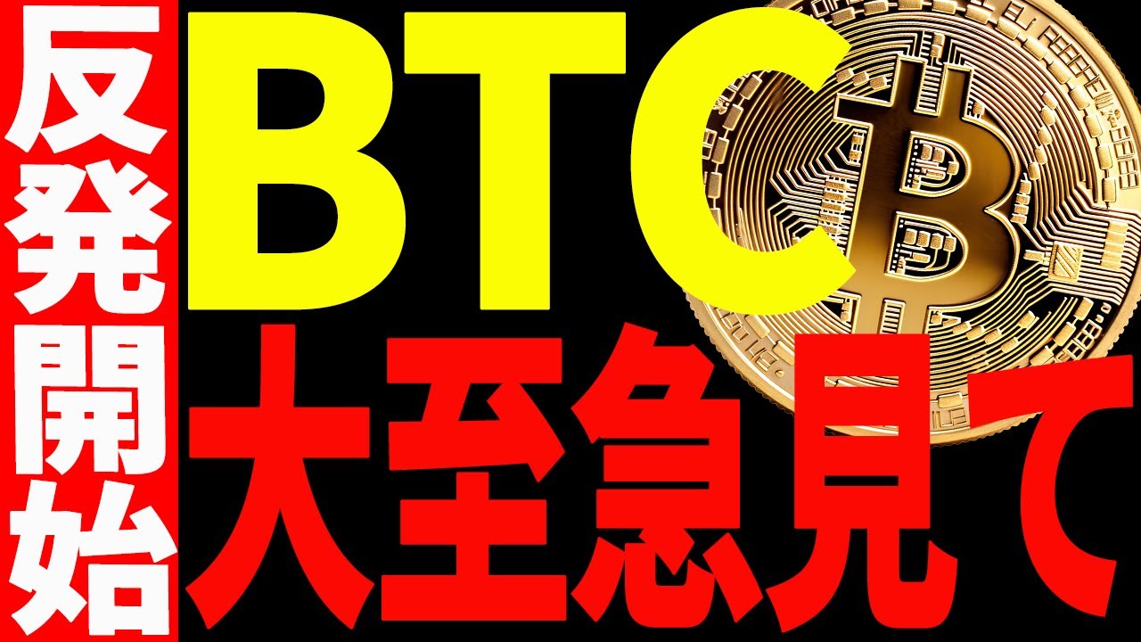 ⚠️大至急見て⚠️ビットコイン反発開始!暴落はもう終わりなのか!? ⚠️大至急見て⚠️ビットコイン反発開始!暴落はもう終わりなのか!?