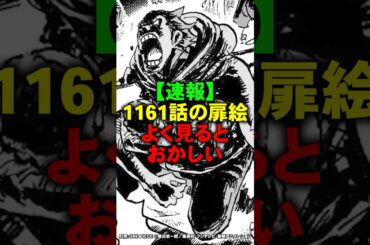 【鳥肌】1161話の扉絵をよく見て気づいたんだけどさ…【ワンピース】 #Shorts
