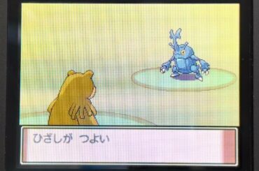 こんなに害悪なヘラクロスいる？、、