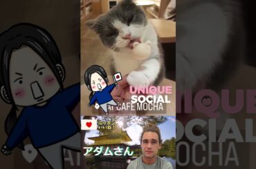 ニュージーランド人がツアーで訪れ驚愕　日本全国にある人気スポットとは🔷TrendNews #shorts