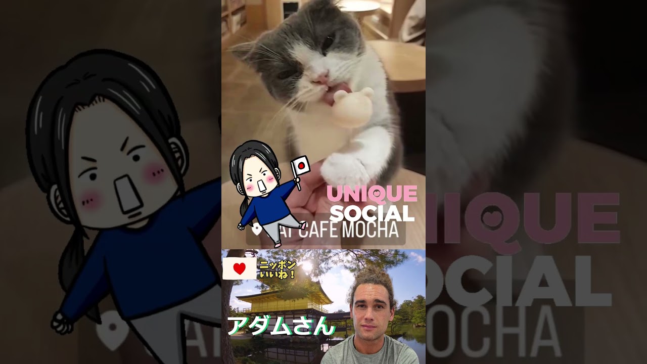 ニュージーランド人がツアーで訪れ驚愕 日本全国にある人気スポットとは🔷TrendNews #shorts ニュージーランド人がツアーで訪れ驚愕 日本全国にある人気スポットとは🔷TrendNews #shorts